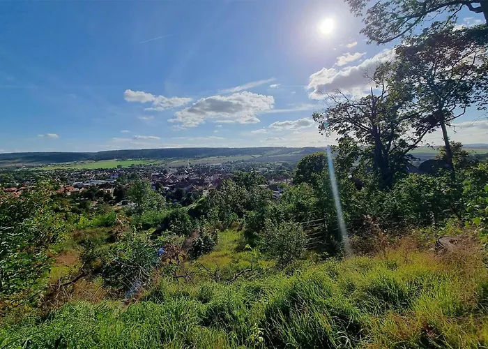 T Muentzer Ph Kamin Daire Bad Frankenhausen